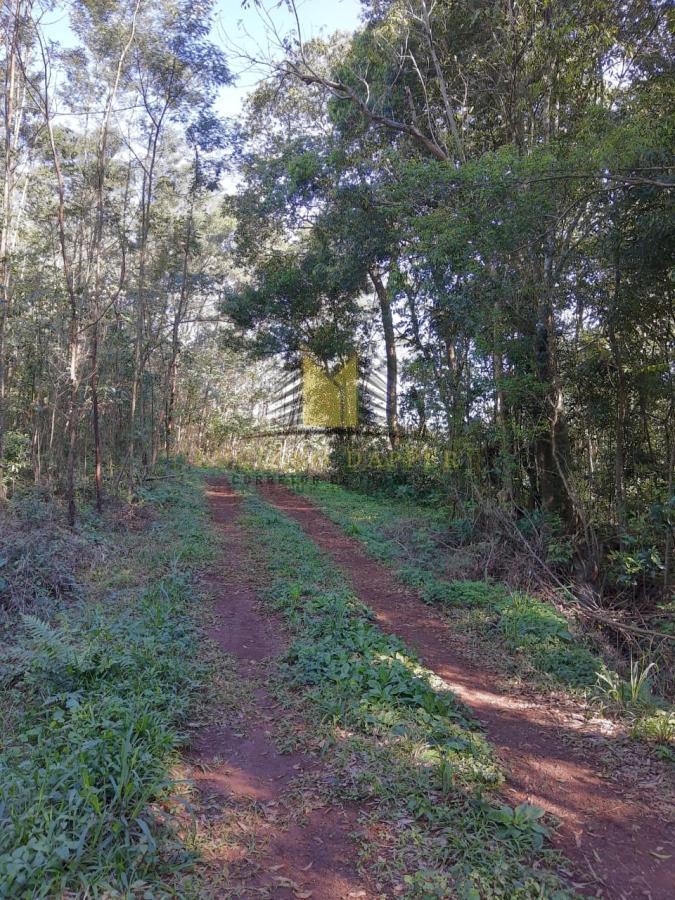 Chácara para Venda em Morro Reuter, Picada Verão