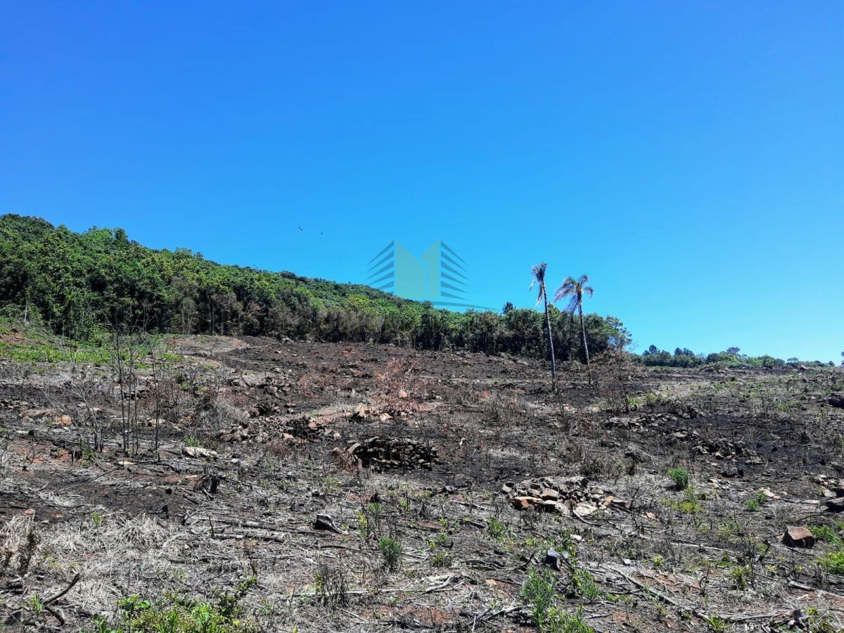 Chácara para Venda em Santa Maria do Herval, Nova Vila