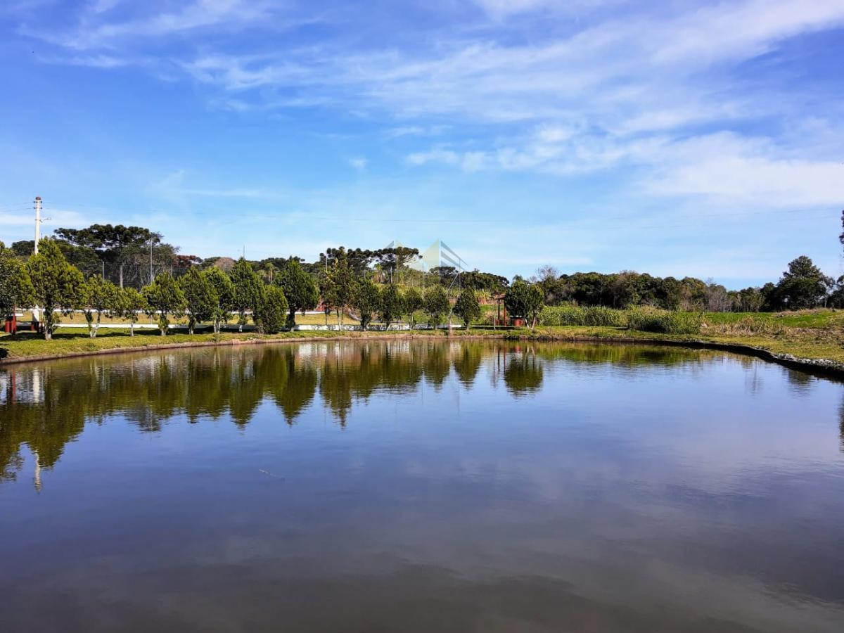 Chácara para Venda em Santa Maria do Herval, Canto Becker, 2 dormitórios, 3 banheiros