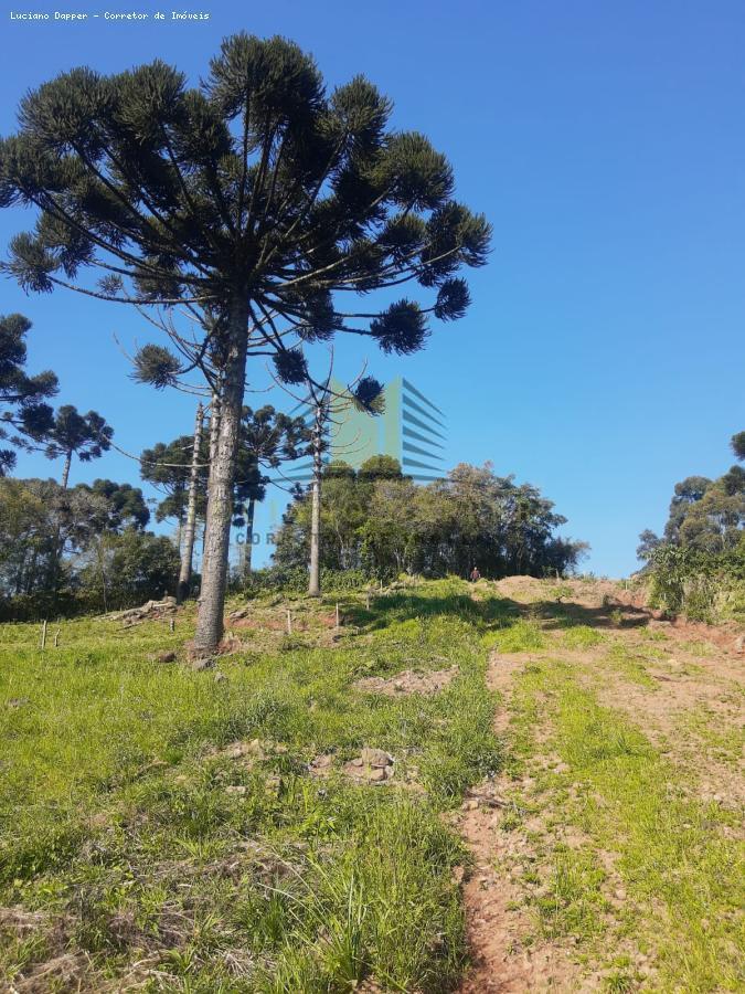 Terreno para Venda em Santa Maria do Herval, Boa Vista do Herval