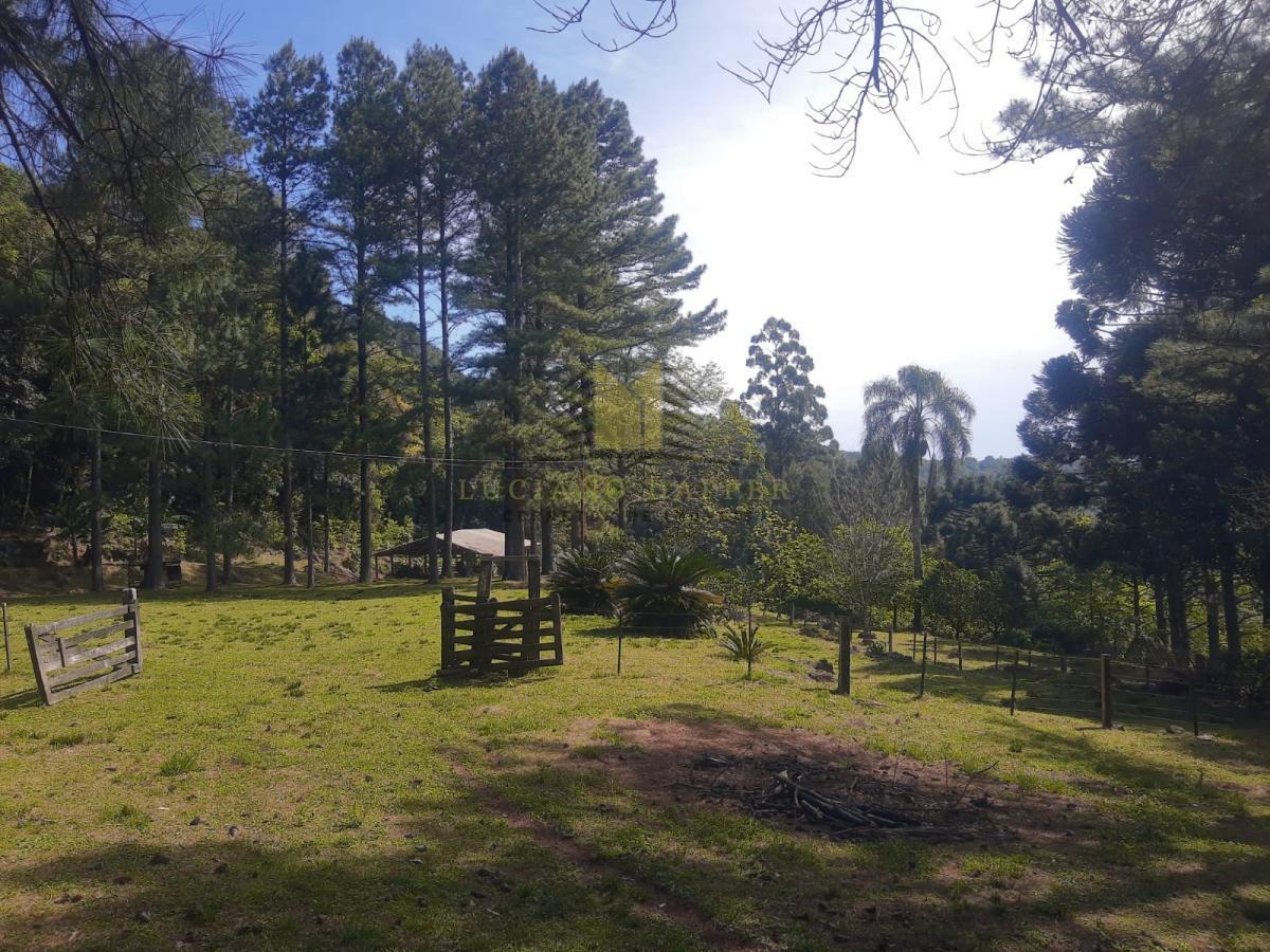 Sítio para Venda em Morro Reuter, Centro, 5 dormitórios, 2 banheiros