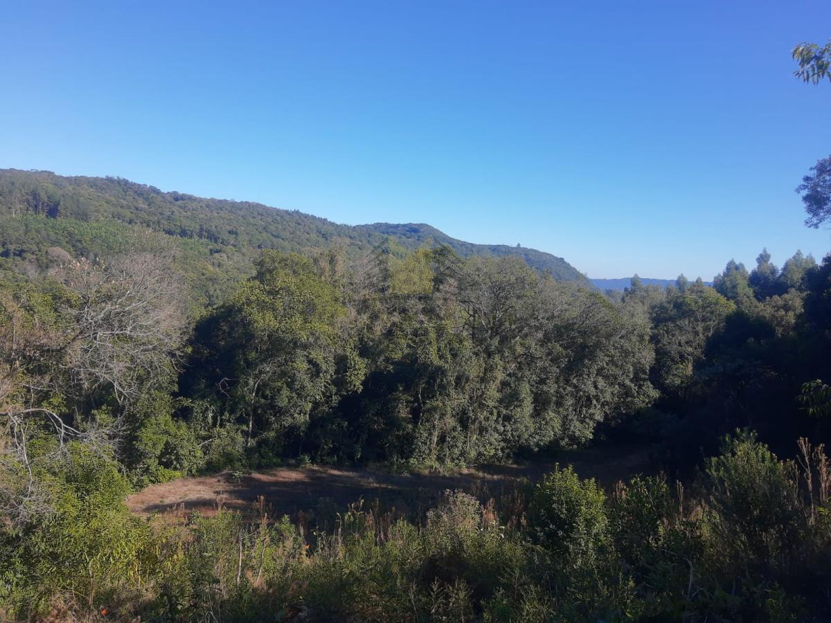 Sítio para Venda em Sapiranga, Picada São Jacob, 2 dormitórios, 1 banheiro