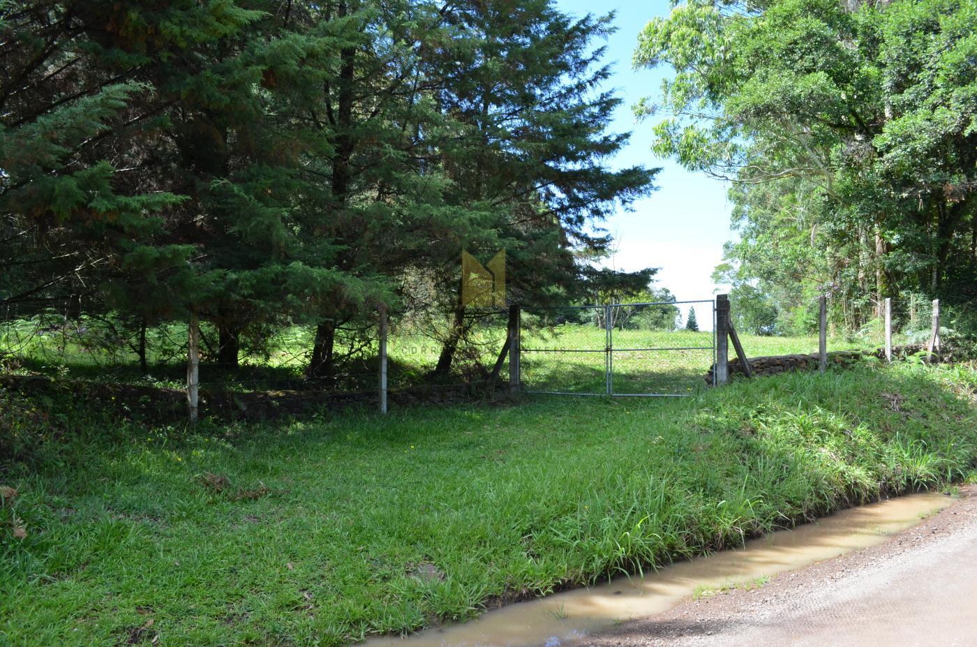 Sítio para Venda em Santa Maria do Herval, Padre Eterno Ilges